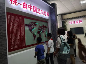 桃香引巧思，非遺潤童心——奉賢錢橋學校暑期親子體驗活動側記